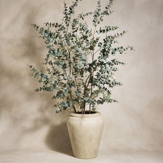 a white vase filled with lots of green plants