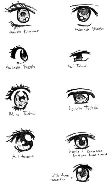 an image of different types of eyes