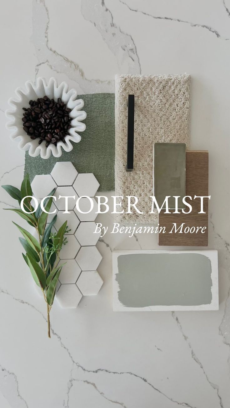 the cover of october mist by benjamin moore