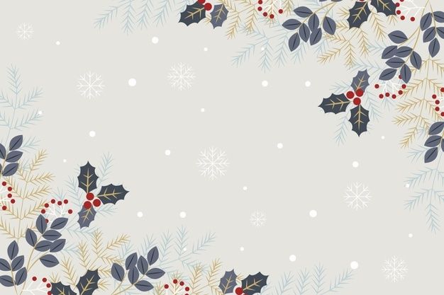 holly leaves and berries with snowflakes on grey background for christmas card or banner