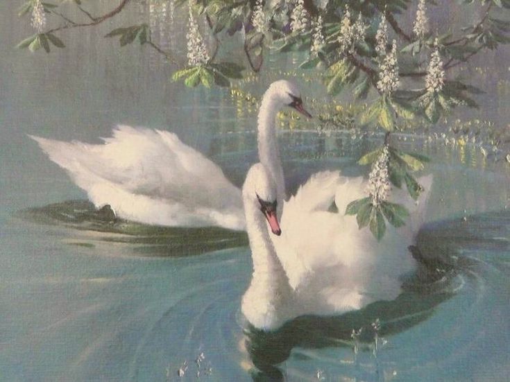 a white swan floating on top of a body of water next to a tree branch