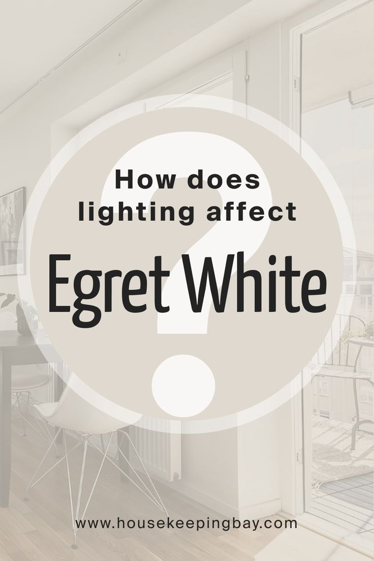 the words how does lighting effect egret white? in front of an image of a