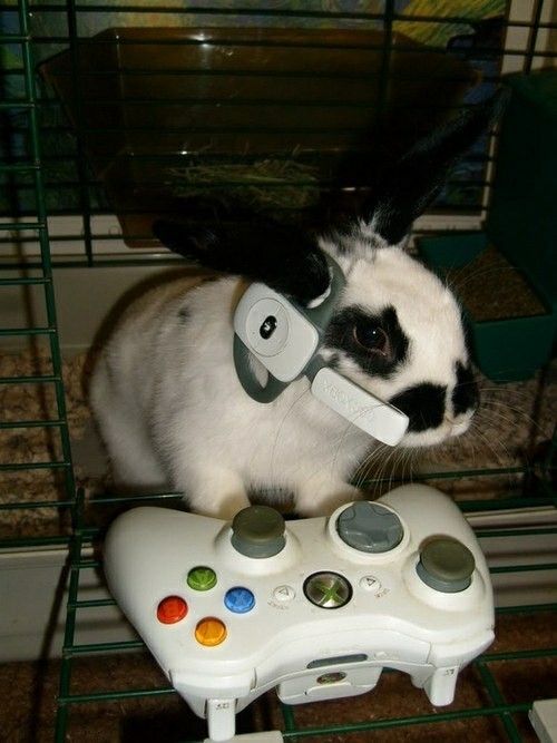 a rabbit is sitting on top of a video game controller in front of a cage