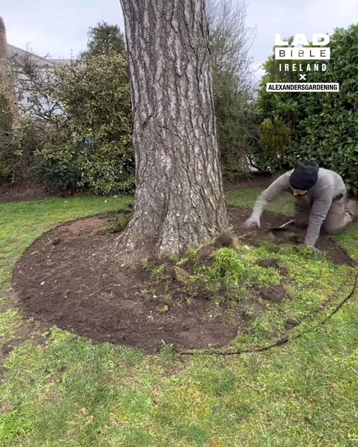 a man is digging in the ground next to a tree