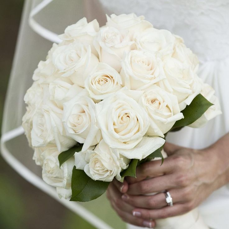 a bride holding a bouquet of white roses