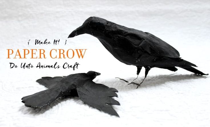 a black bird is standing on the snow next to a dead leaf that says paper crow