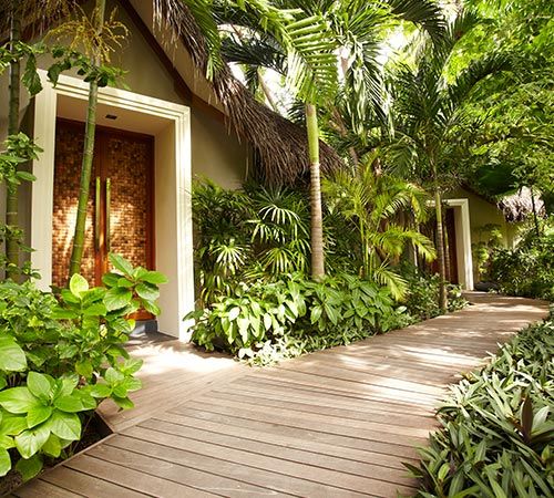 a wooden walkway leading to a house surrounded by trees and plants on both sides of the building