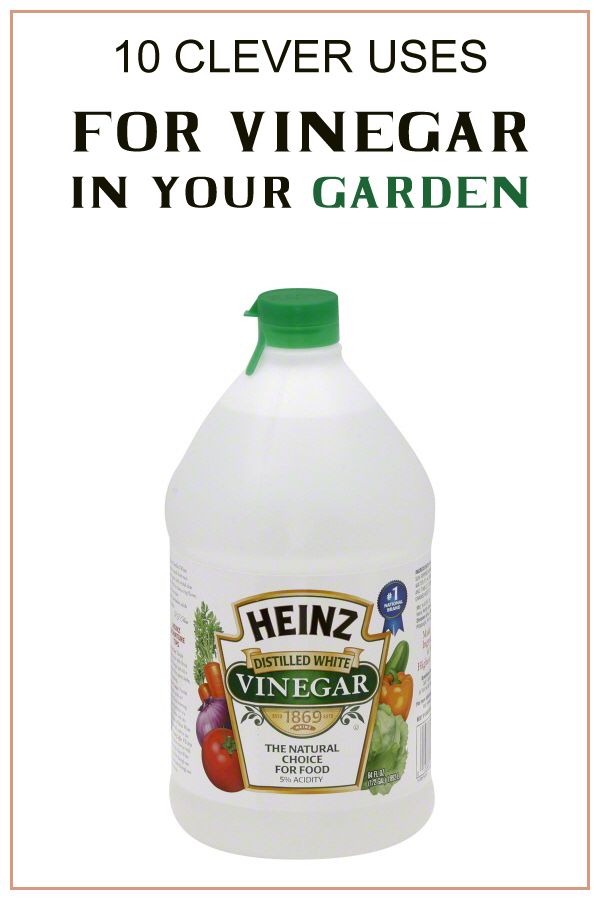 a bottle of vinegar sitting on top of a white background with the words, 10 clever uses for vinegar in your garden