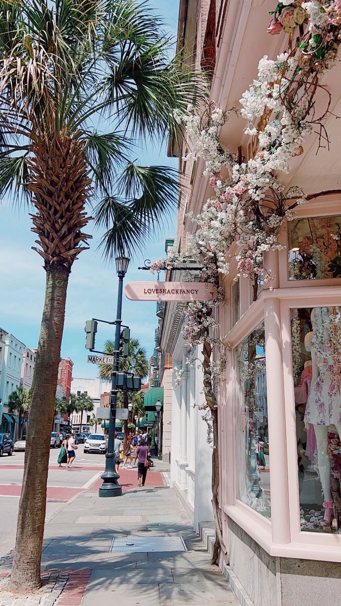 palm trees line the sidewalk in front of shops