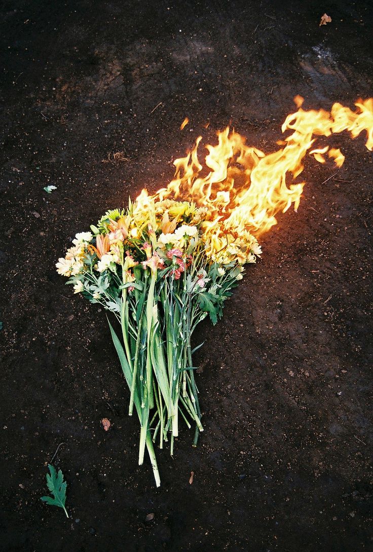 a bunch of flowers sitting on top of a dirt ground with fire coming out of it