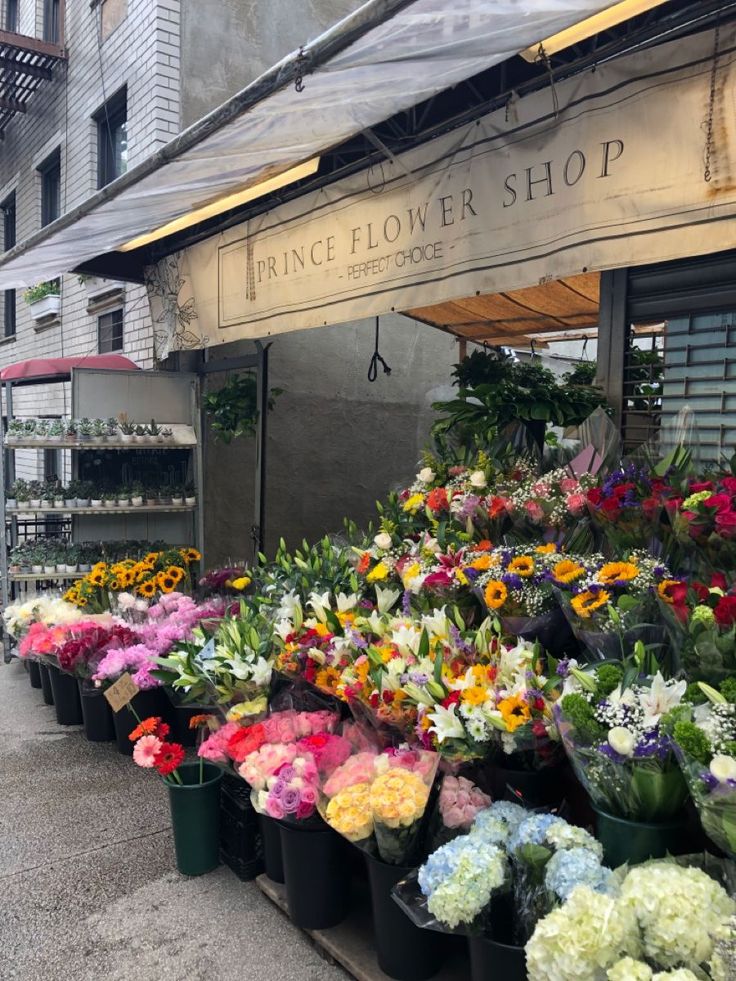 many different types of flowers are on display at the flower shop