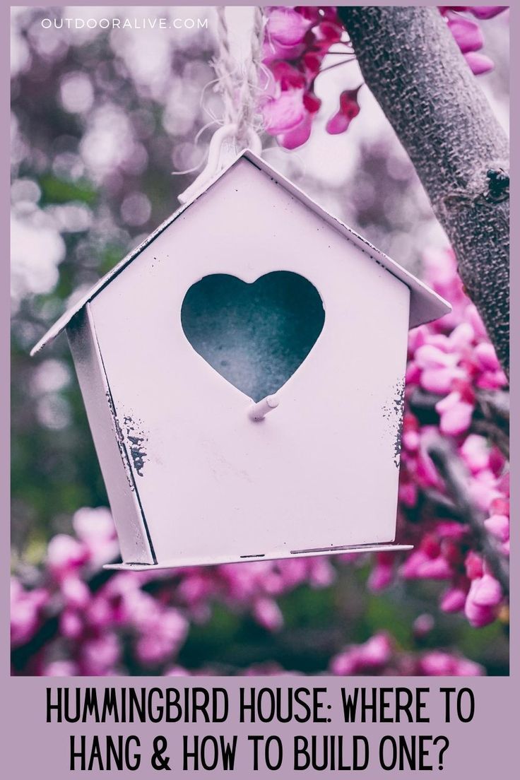 a birdhouse with a heart hanging from it's side and the words hummingbird house where to hang & how to build one?