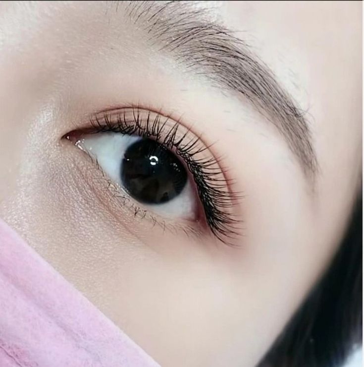 Eyelash Extensions Korean, Korean Lashes, Korean Eyelash Extension, Classic Eyelash Extension, Mi Classic, Korean Eyelash, Eyelash Studio, Natural Eyelash Extensions, Korean Eye Makeup