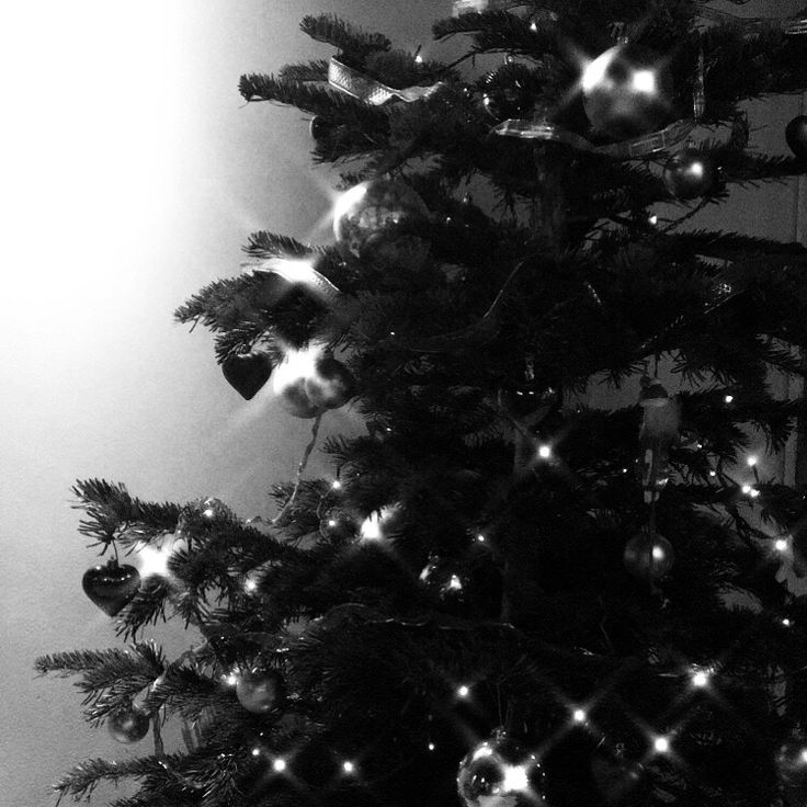 a black and white photo of a christmas tree with lights on it's branches