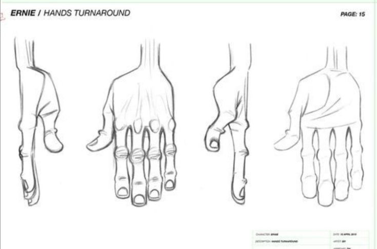 four different hands and feet are shown in this drawing