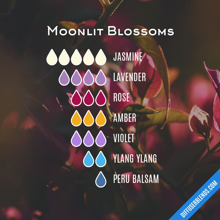 Violet Essential Oil, Essential Oil Spray Recipes, Perfume Blends, Scent Blends, Essential Oil Perfumes Recipes, Homemade Perfume, Essential Oil Combinations, Essential Oil Diffuser Blends Recipes, Perfume Recipes