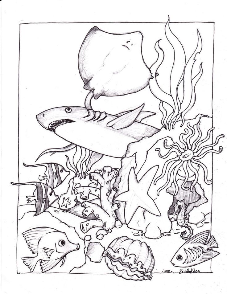 a black and white drawing of an underwater scene with sharks, fish, and other marine life