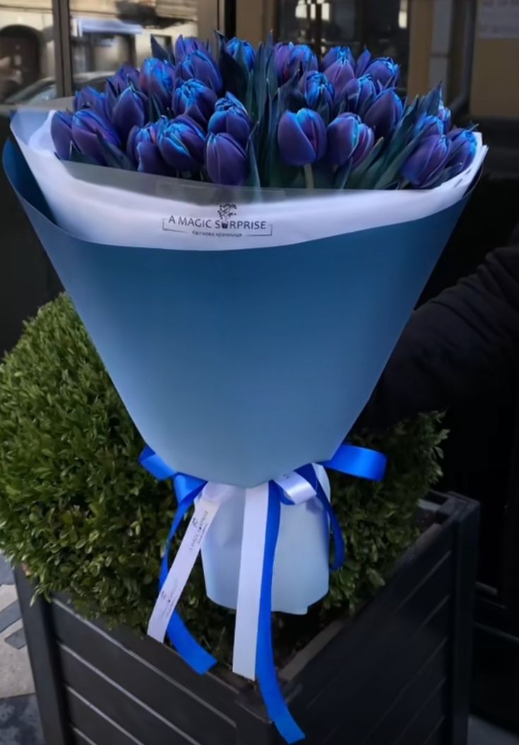 a large bouquet of blue tulips in a black box