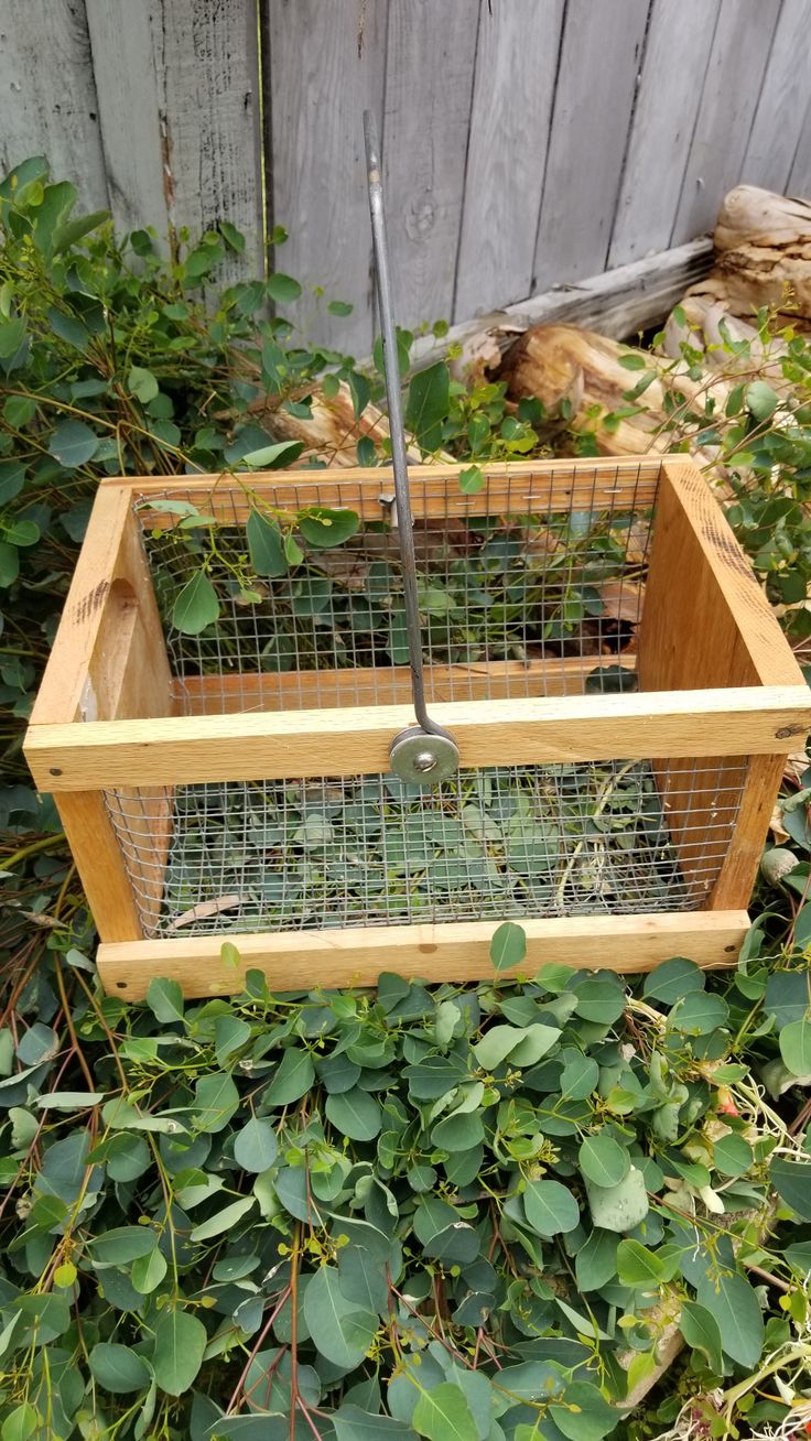 a wooden box with wire in it sitting on top of green plants and bushes next to a fence