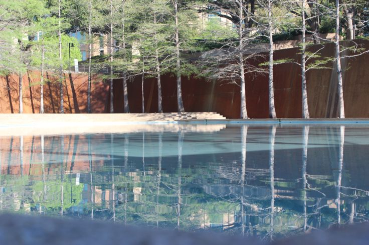 the reflection of trees in the water is very clear and reflecting it's surroundings