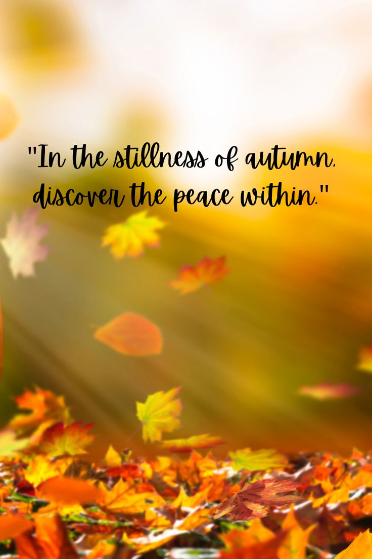 an autumn scene with leaves and the words in the stillness of autumn, discovery the peace within