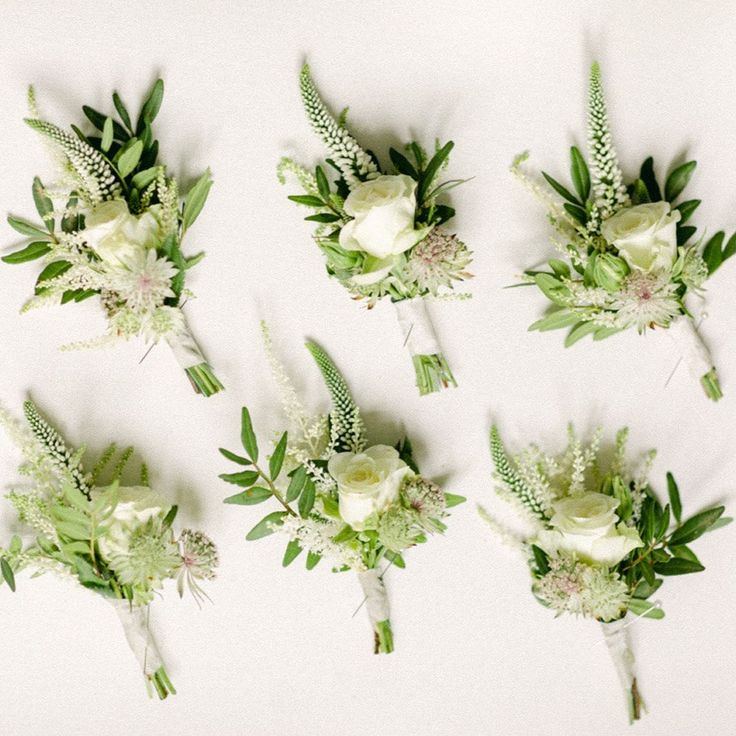 white flowers and greenery are arranged in a row on a white surface with green leaves