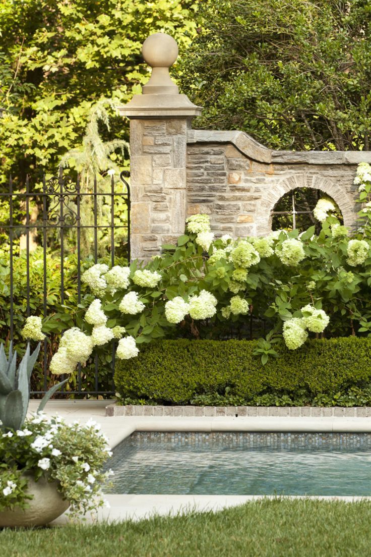 a garden with white flowers and green plants next to a pool