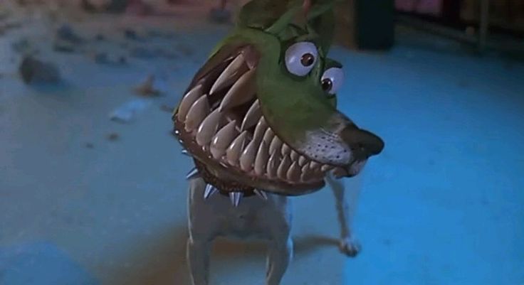 a dog with an odd looking head and mouth