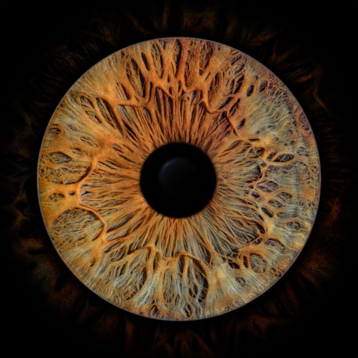 an extreme close up view of the iris of a human eye