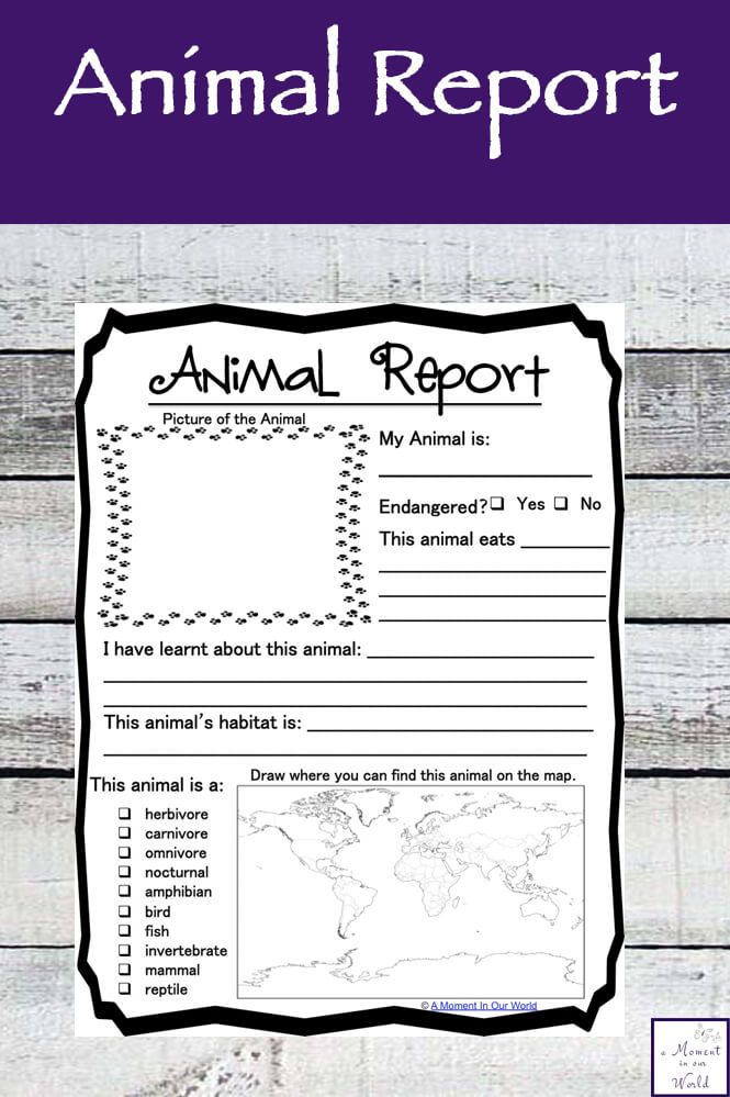 an animal report with the words animal report on it and a map in the background