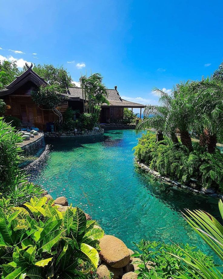 an outdoor swimming pool surrounded by greenery