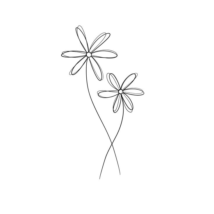 two daisies are shown in black and white on a white background, one is drawn by hand