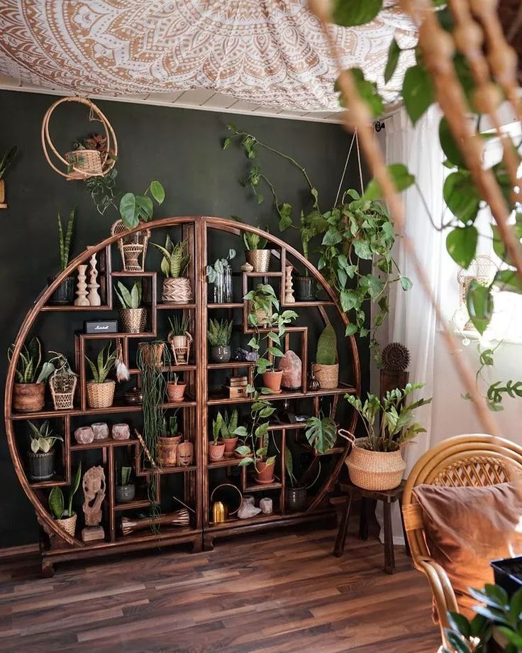 a room filled with lots of potted plants on shelves next to a wooden floor