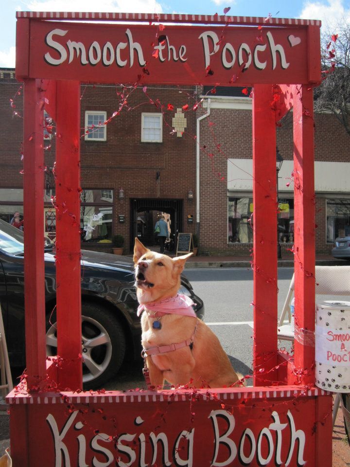 a dog is sitting in a red sign that says, smooth the pooch kissing booth