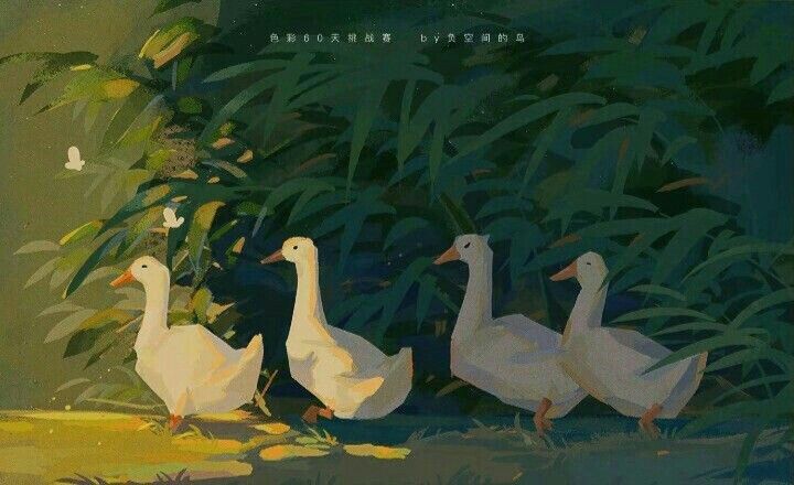 three white ducks are walking in the grass