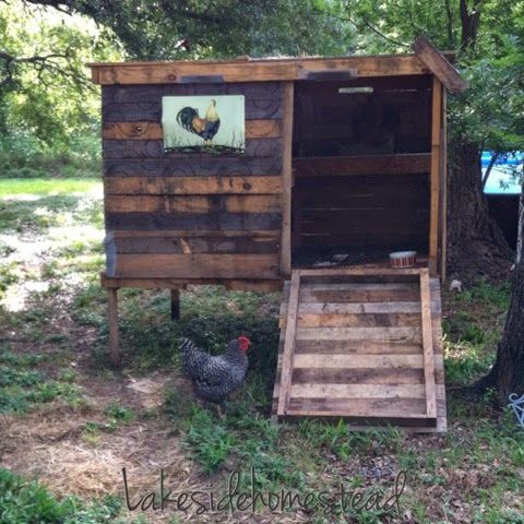 a chicken coop built into the side of a tree