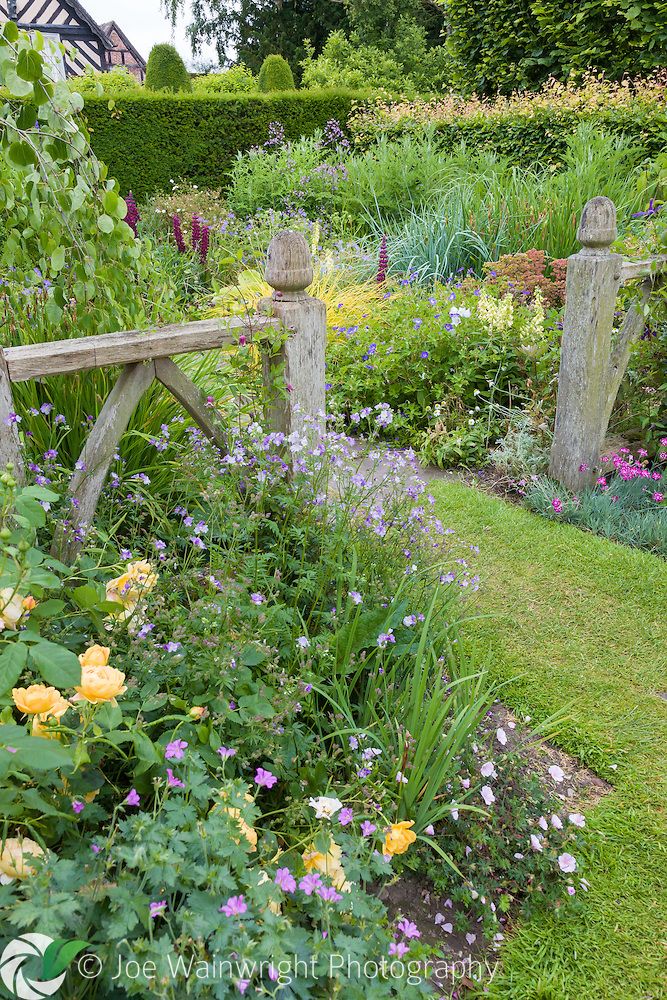 a garden filled with lots of different types of flowers