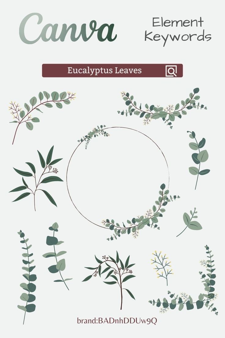 Elements In Canva, Font Canva Lettering, Best Sans Serif Fonts, Eucalyptus Plant, Instagram Branding Design, Elements Canva, Elegant Wedding Stationery, Keyword Elements Canva, Canvas Learning