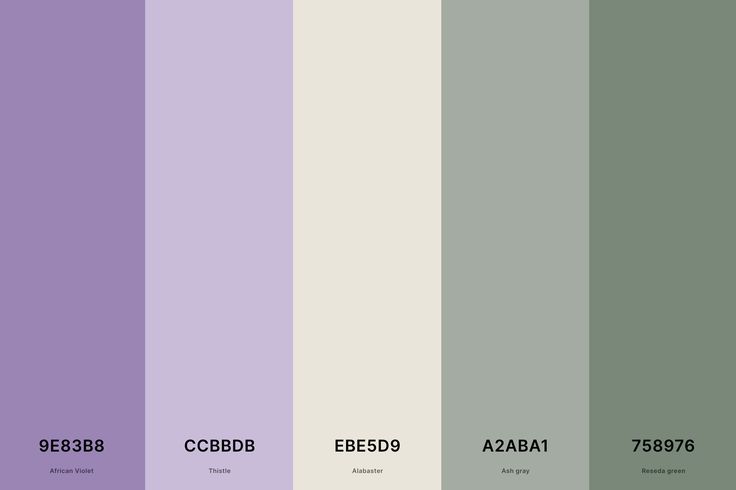 the color scheme is purple and grey