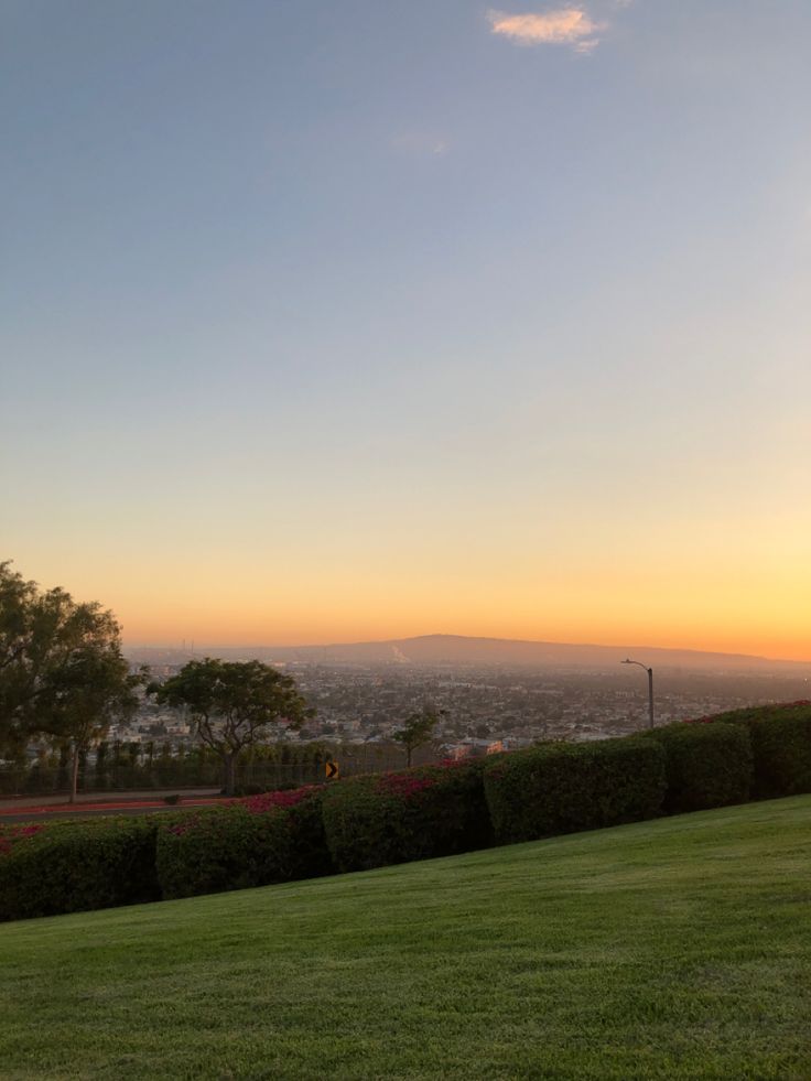 the sun is setting over a city with tall hedges and flowers in front of it