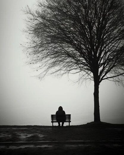 a person sitting on a bench in front of a tree with no leaves and fog