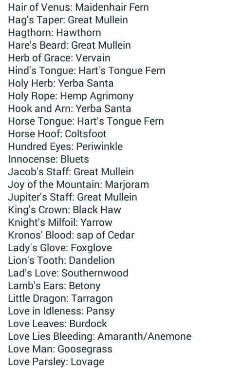 Witch Ingredient List, Common Witchcraft Herbs, Witch Names For Herbs, Herbs Correspondences, Common Herbs Used In Witchcraft, Herbal Correspondences Witchcraft, Herb Names, Potion Ingredients, Witch Names