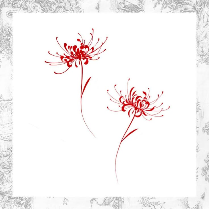 two red flowers on a white background