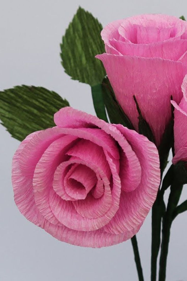 three pink roses with green leaves in a vase