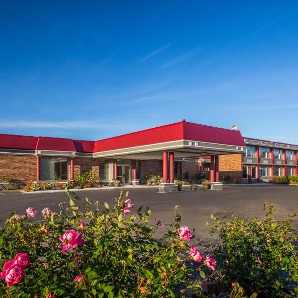 the exterior of a motel with flowers in front