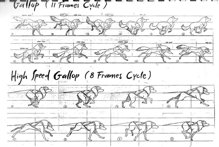 an image of how to draw horse gallop and frames cycle in the style of paper