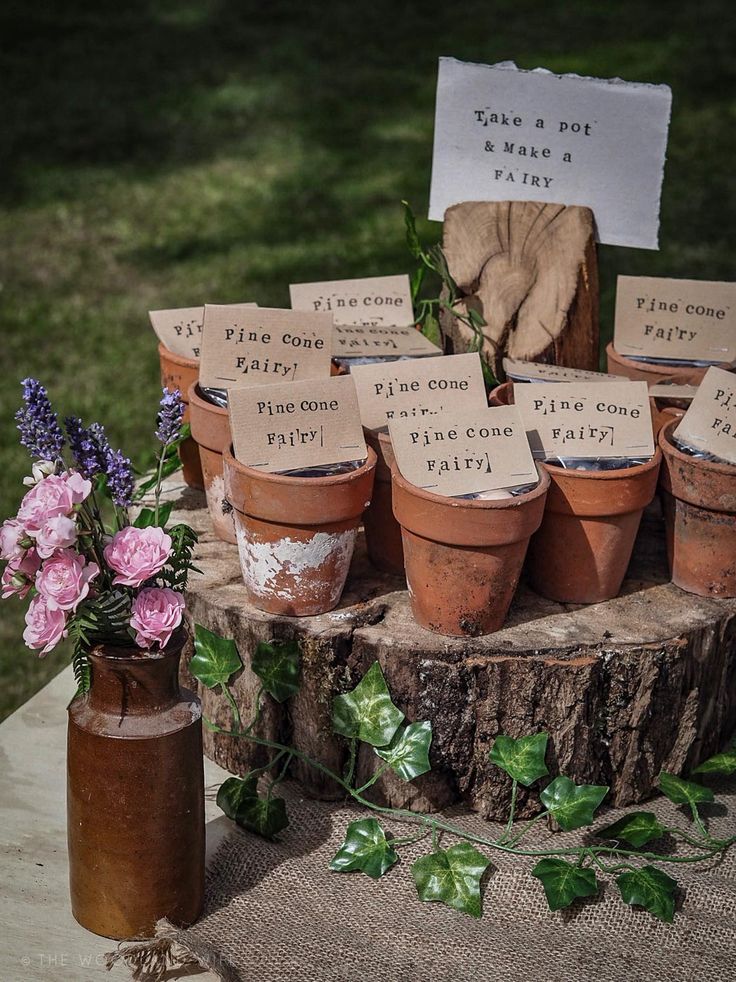 there are many potted plants on the table