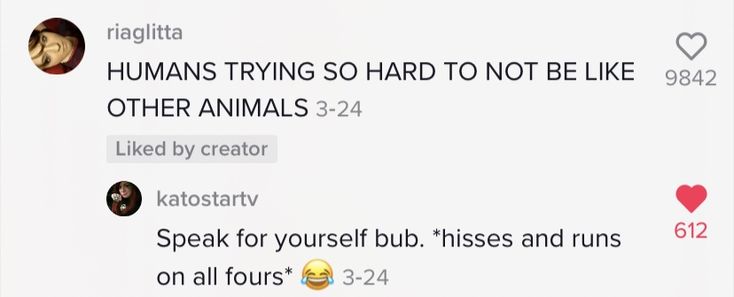 Funny Tiktok Comments, Tiktok Comments, Funny Tiktok, Funny Comments, The Human Body, Text Posts, Facts About, Dumb And Dumber, The Creator