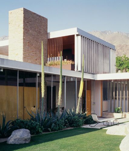 the house is surrounded by large cactuses and tall plants in front of it's windows