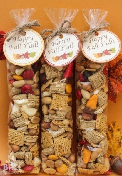 three bags filled with different types of snacks in front of an orange wall and fall leaves